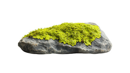 Rock covered with vibrant green moss, isolated on transparent background.