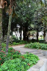 Santa Cruz de Tenerife park (Parque García Sanabria)