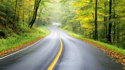 Fototapeta premium Winding road through vibrant autumn forest with colorful leaves. Concept: scenic fall journey.