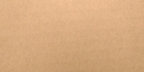 Cardboard Texture. Background