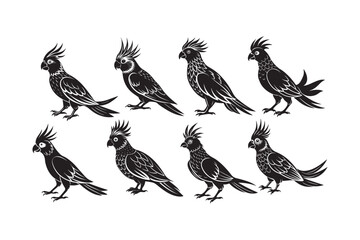 Naklejka premium Cockatiel silhouette vector illustration, Cockatiel silhouette bundle 