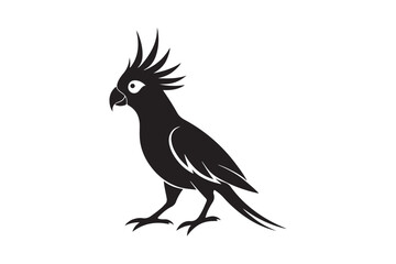 Cockatiel  silhouette vector illustration, Cockatiel  silhouette 