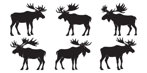 set of Moose silhouette vector, wild moose for wildlife, standing, walking