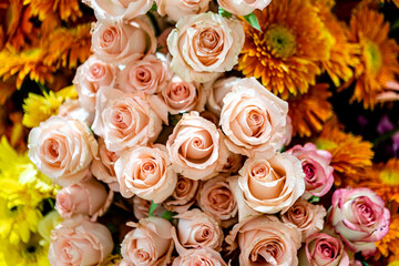 Beautiful flowers decorations, flower background, backdrop wedding decoration, rose pattern, colorful background, bunch of flowers