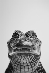 Close-up Portrait of a Majestic Lizard with Intricate Scales in Black and White, Capturing Its Unique Expression and Details Against a Minimalist Background