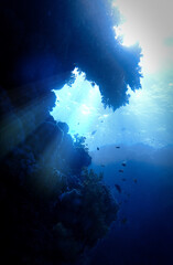 Underwater photo of a dreamlike and etheral environment. From a cave scuba dive in rays of sunlight.