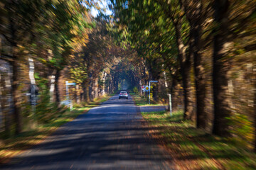 Obraz premium On a road in the moor, in Bösel, Germany