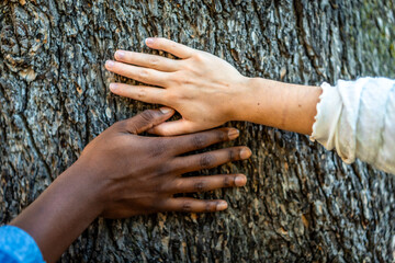 Close-up of mixed- raced hands on a tree