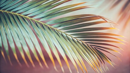 Obraz premium A Single Palm Leaf Illuminated by Warm Sunlight, Displaying Delicate Texture and a Glowing, Warm Backdrop