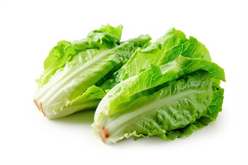 fresh Romaine Lettuce isolated on white