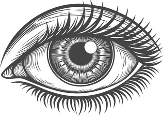 Fototapeta premium Eye iris. eyeball symbol. Human face vintage art. Old sketch view drawing