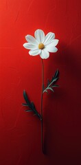 Elegant minimalist floral composition featuring a single white flower on a vibrant red textured background, highlighting simplicity and contrast