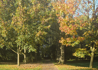 Sunny autumnal day in Belgium