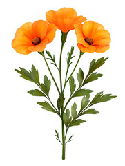 Naklejka premium Bouquet of orange flowers isolated on white background