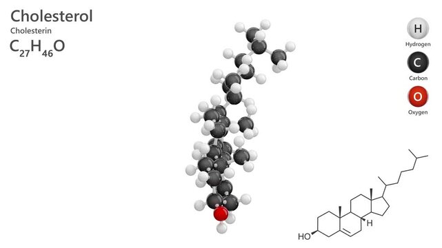 Cholesterol or Cholesterin. Steroid. Animated 3D model of a molecule. Molecular formula: C27H46O. Chemical model: Ball and stick. White background. 3D rendering. Seamless loop.