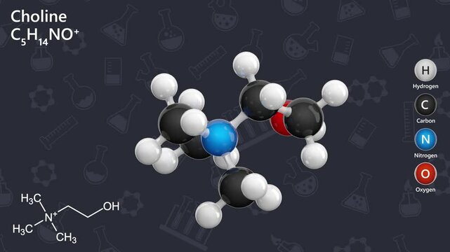 Choline. Essential nutrient. Animated 3D model of a molecule. Molecular formula: C5H14NO. Chemical model: Ball and stick. Dark background. 3D rendering. Seamless loop.