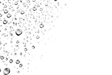 Micro shot of condensation droplets forming on a surface isolated on transparent background