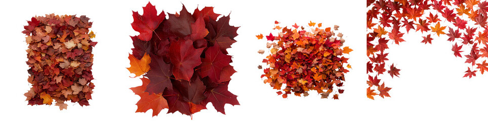 Fototapeta premium The image features an assortment of vibrant autumn leaves in shades of red, orange, and yellow, isolated on a white background. Various shapes and clusters highlight natural beauty isolated PNG