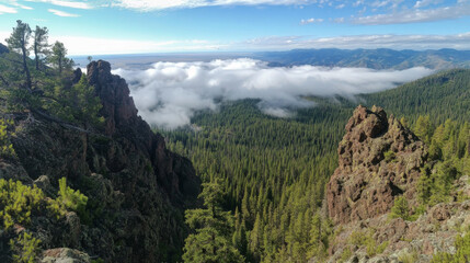 Fototapeta premium Point of view from a mountain top