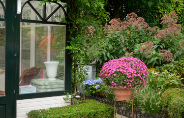 véranda, buis, chrysantheme en pot, dallage, jardin de ville , quartier résidentiel, Uccle, Bruxelles, Belgique