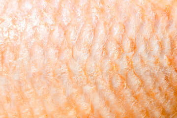 Pink fish skin scales used for abstract background texture design.