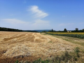 Harvested wheat, a straw field with hills in the background