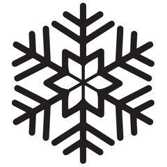Snowflakes black and white shapes lines winter season decoration illustration