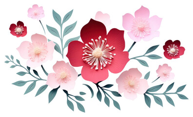 Obraz premium PNG Flowers plant petal leaf.