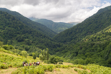 A view opening into the forest