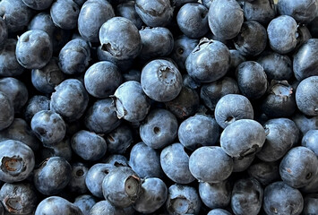 Fresh blueberries as a background, top view