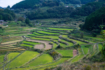 日本の岡山県久米郡美咲町の美しい大垪和西の棚田