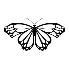Black butterfly vector design