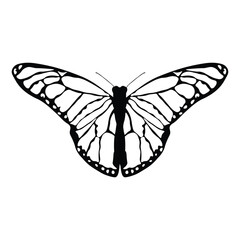 Black butterfly vector design