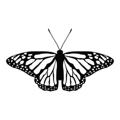 Black butterfly vector design