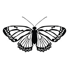 Black butterfly vector design