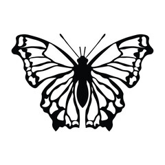 Black butterfly vector design