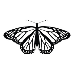 Black butterfly vector design