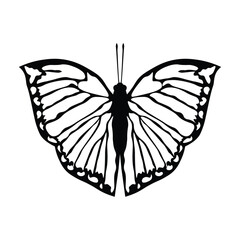 Black butterfly vector design