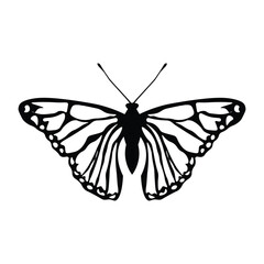 Black butterfly vector design