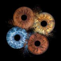 Iris Photography - Family Quartet Collision