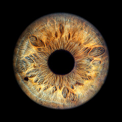 Iris Photography - Unique Singularity_36
