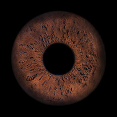 Iris Photography - Unique Singularity_28