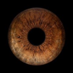 Iris Photography - Unique Singularity_27