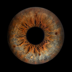 Iris Photography - Unique Singularity_15