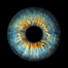 Iris Photography - Unique Singularity_14