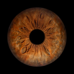 Iris Photography - Unique Singularity_6