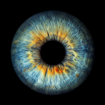 Iris Photography - Unique Singularity_14