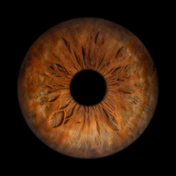 Iris Photography - Unique Singularity_6