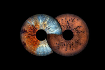 Iris Photography - Unique Duality Infinity
