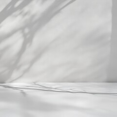 Fototapeta premium Minimalist White Wall with Branch Shadows for Product Display and Mockups.